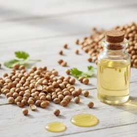 Coriander Oil