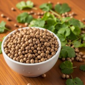 Coriander